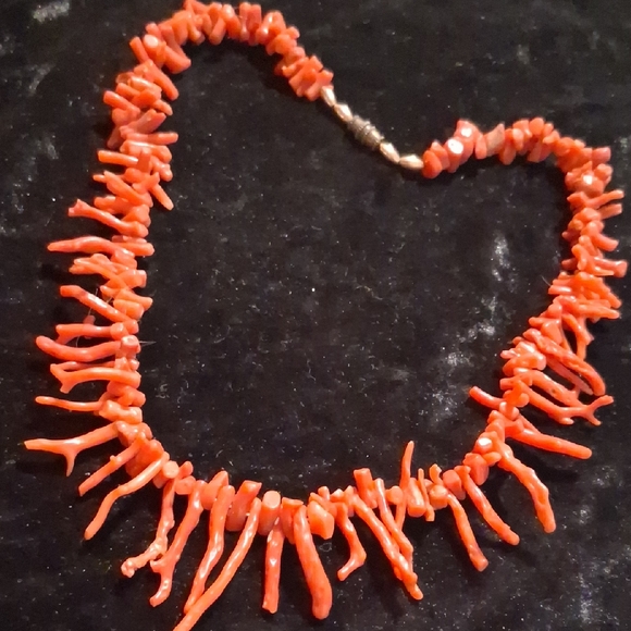 vintage coral Jewelry - Vintage Branch Coral Necklace 18 In. Long